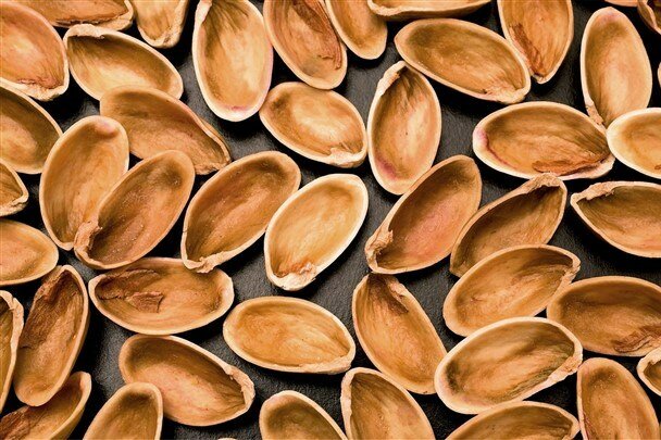 عمده فروشی پوست پسته