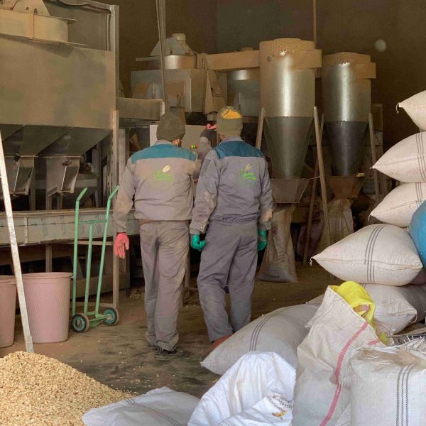 کارخانه پسته زمرد خشکبار